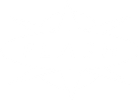 Flash